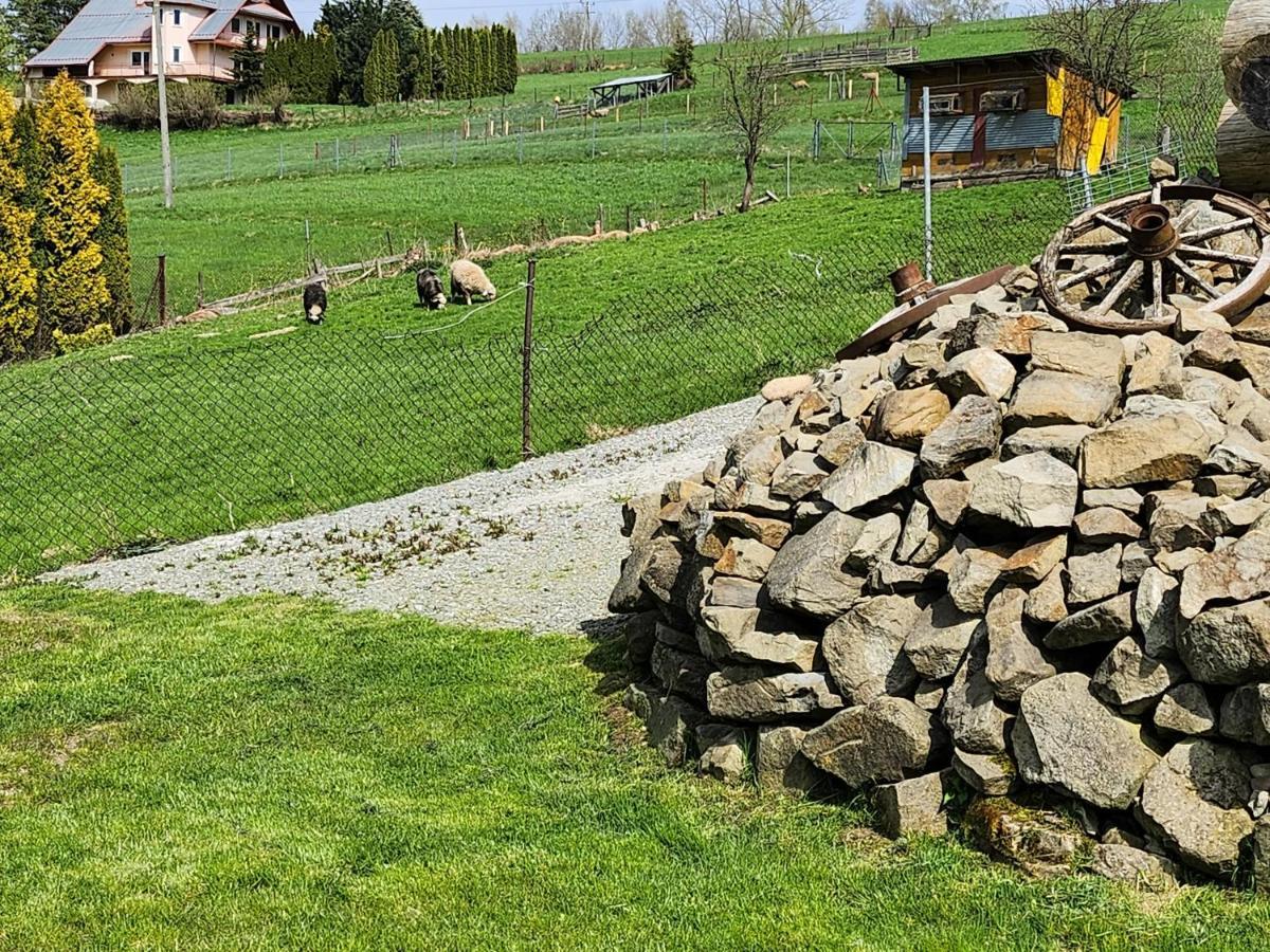Apartament U Ewki Rdzawka Zewnętrze zdjęcie