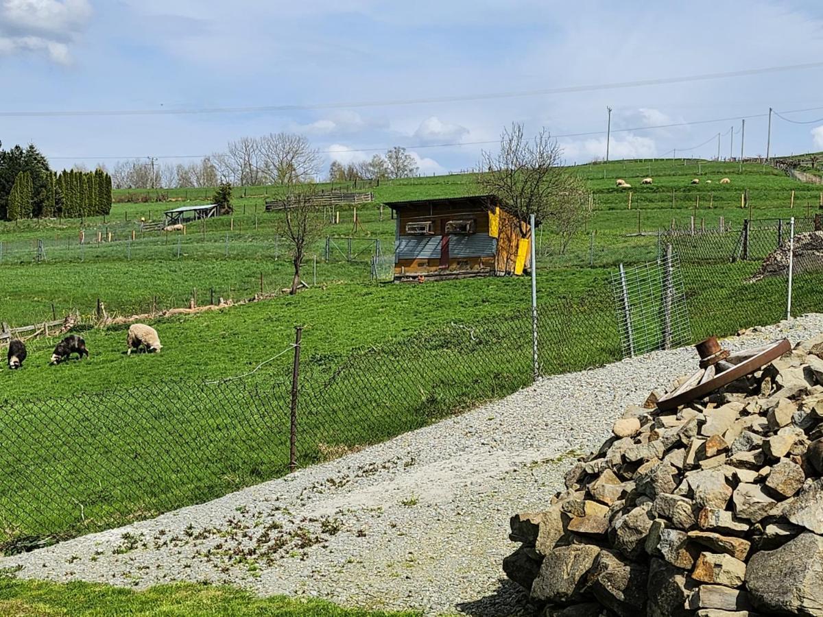 Apartament U Ewki Rdzawka Zewnętrze zdjęcie